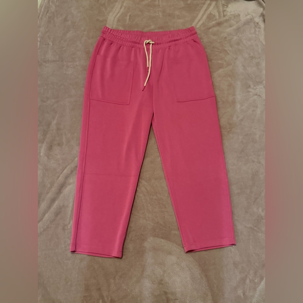 Splendid Massie Scuba Knit Sweatpants pink Size XL - Picture 4 of 13